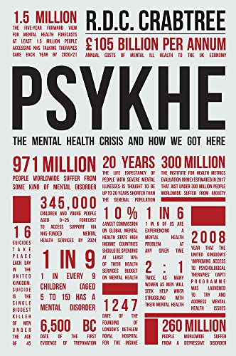 Psykhe: The Mental Health Crisis and How We Got Here