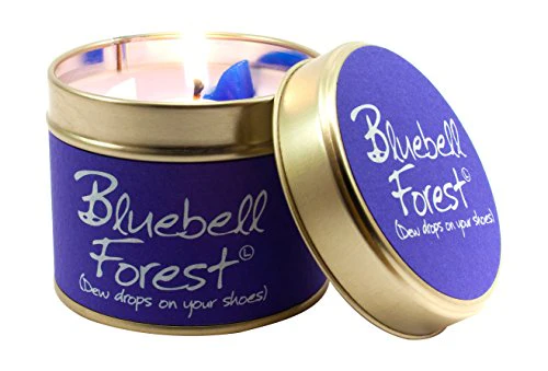 Bluebell Forest - Scented Tin Candle