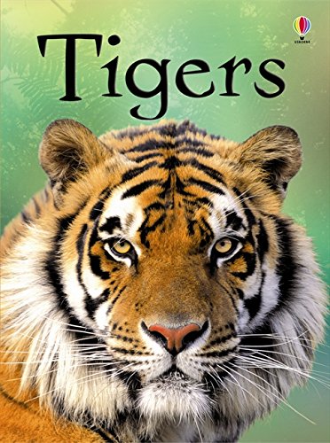 Beginners: Tigers (Usborne Beginners)
