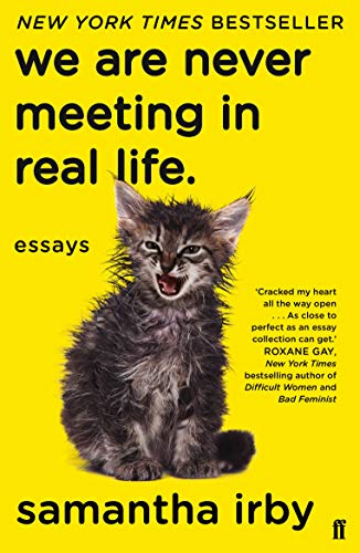 We Are Never Meeting in Real Life: essays